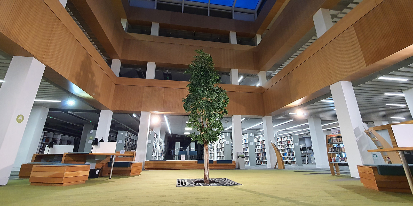 山ּ library foyer with the living tree in the centre.